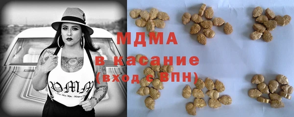 индика Вяземский